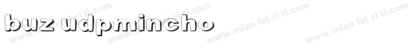 buz udpmincho字体转换